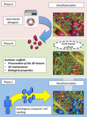  奈米陶瓷：Revolutionizing Biomedical Engineering and Tissue Regeneration!